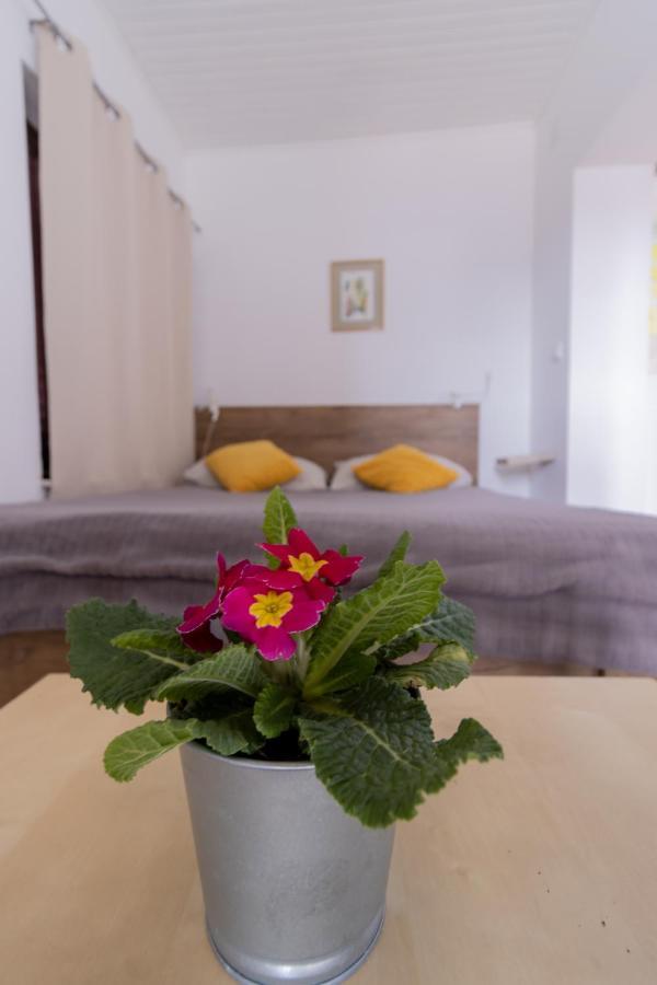 Hill Apartman - Maksimir Rebro Zagreb Eksteriør billede